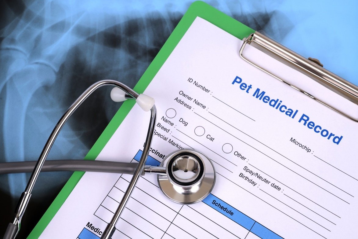 Pet Insurance Taxes