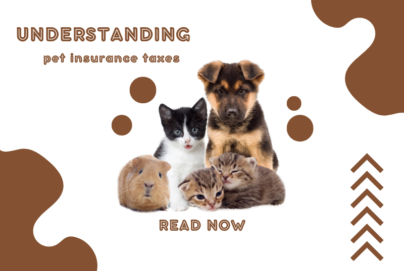 Pet Insurance Taxes