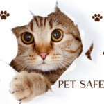 Pet Safety in Extreme Weather