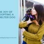 Adopting a Shelter Pet