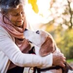 How to Care for Aging Dogs and Cats